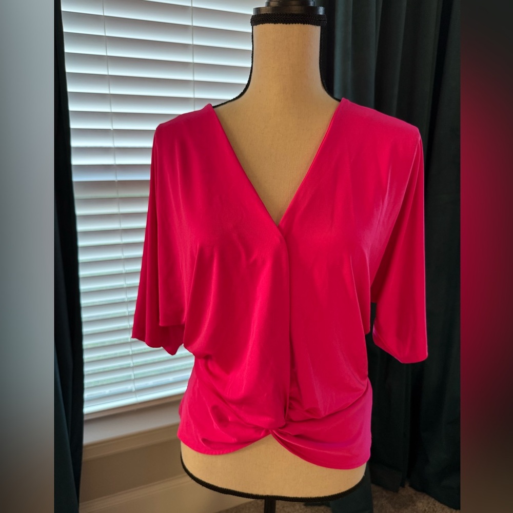 Express Fuchsia V-Neck Blouse